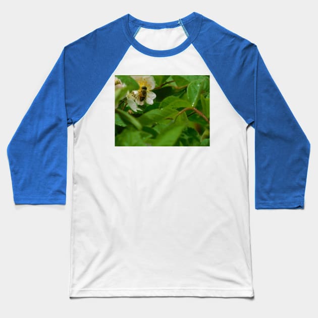 The Pollinator Baseball T-Shirt by FriendlyComputerHelp